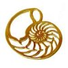 nautilus-gold.jpg