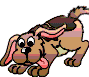 dogwagging.gif