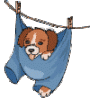 puppy-clothes-line.gif