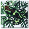 frog.jpg