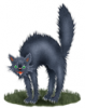 011_tns.png 011_tns.png