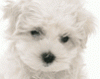 040614_funmobile_0081.gif