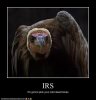 IRS.jpg