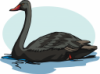 blackswan01_001150_tns.png