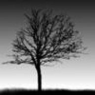 Darkwood.Labs