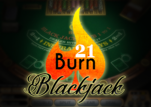 21_burn