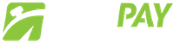 FastPay Casino logo