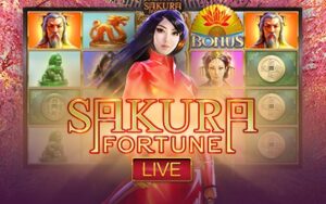 Sakura Fortune Live table